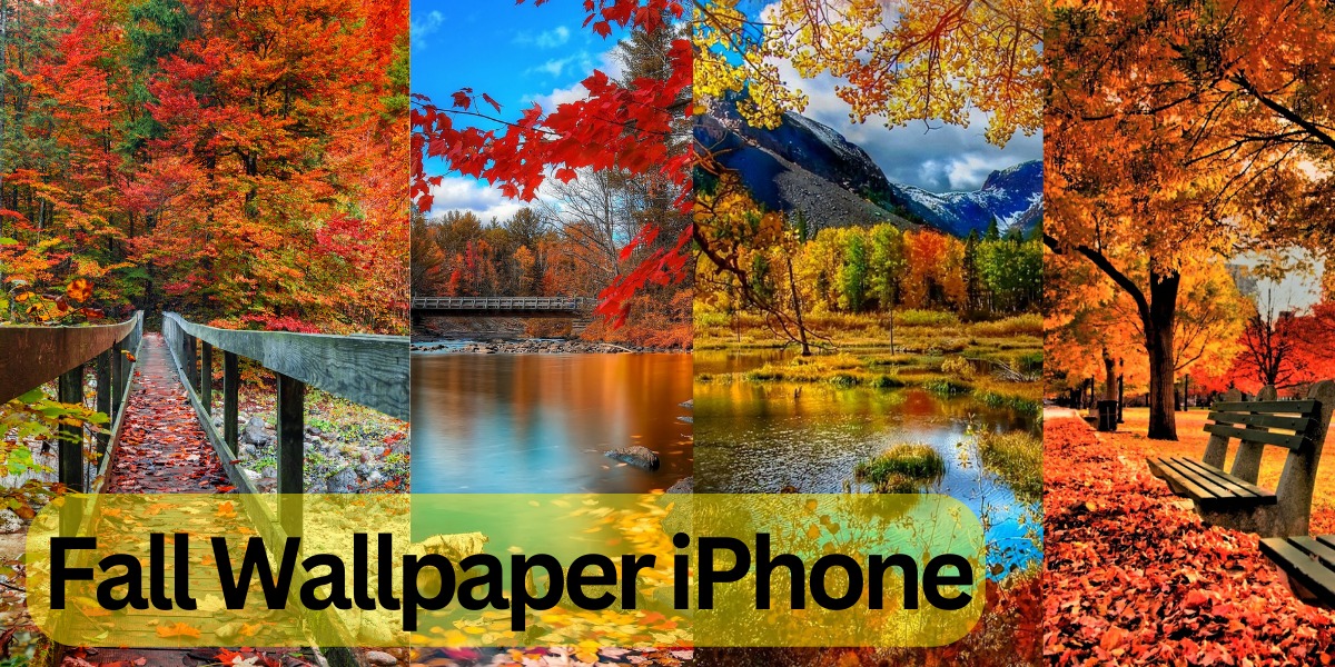 Fall Wallpaper iPhone
